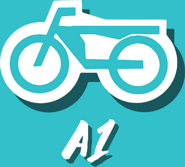 A1
